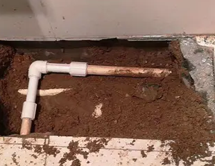 望奎测漏水哪家好